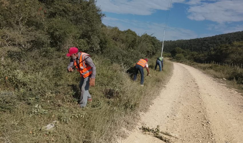 Trabajos de Chapoleo-Ejido 3 de Abril