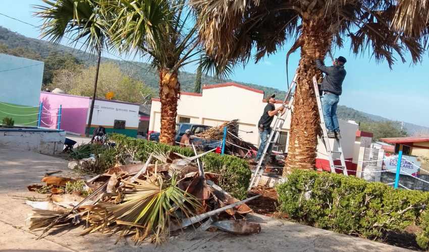 MANTENIMIENTO DE LA CABECERA DE SAN NICOLAS