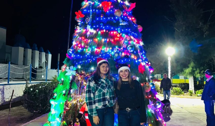 Encendido del Pino Navideño 2025